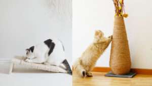 12 ideas de rascadores para gato decorativas bonitas