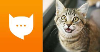 Software- App para saber lo que dice tu gato