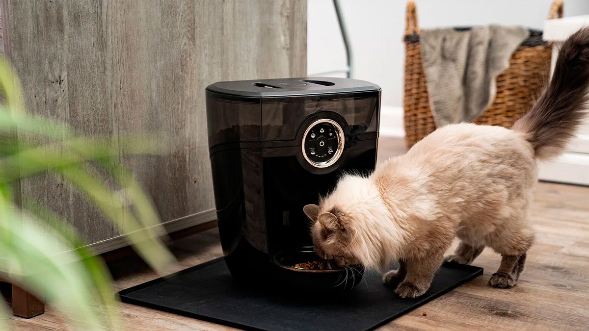 Comederos Elevados De Cerámica Para Gatos - Productos De Uso Diario Para Gatos | Walmart En Línea