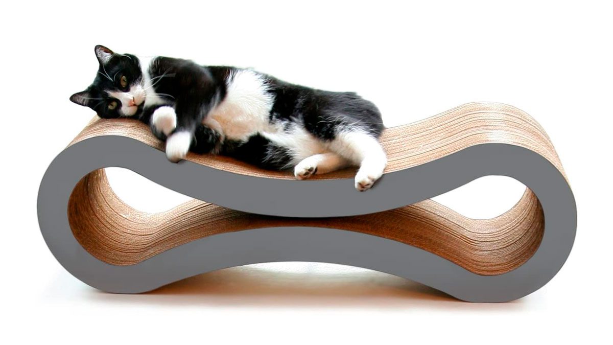 11 mejores modelos de rascadores para gatos de 2023