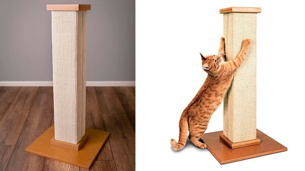 El mejor rascador de gatos, señor uñas